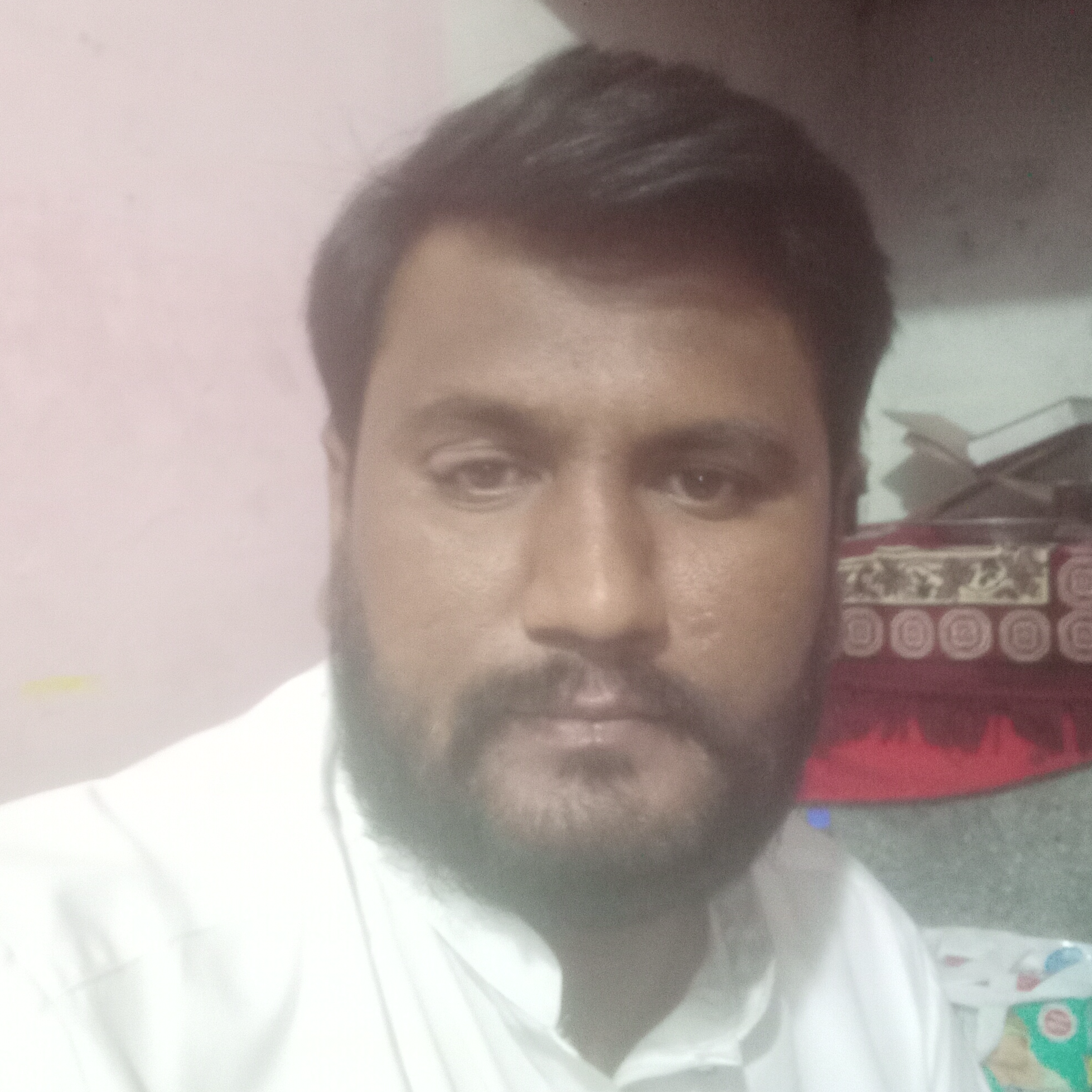 Muhammad Jahanzaib Anwar 