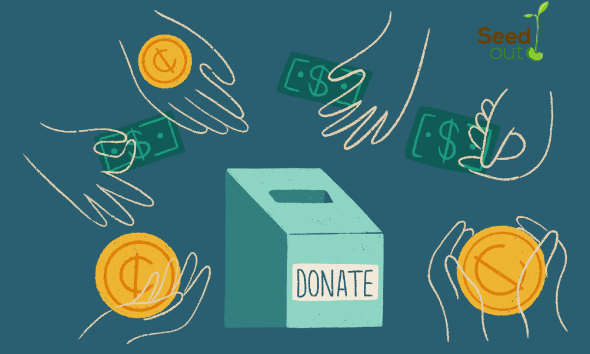 Seed out empowering the people