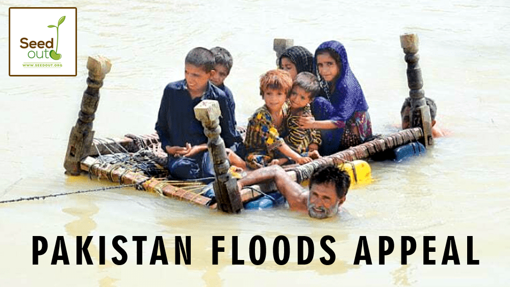 Pakistan Floods Appeal - Seed Out Pakistan Floods Appeal - Seed Out