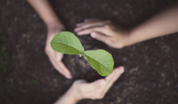 Affective Ways Of Sadaqah Jaariyah In Islam 