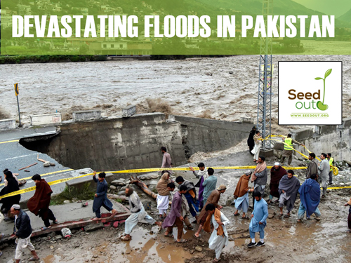 Devastating Floods in Pakistan