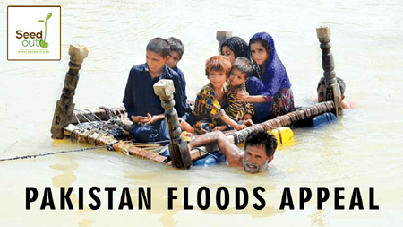 Pakistan Floods Appeal - Seed Out