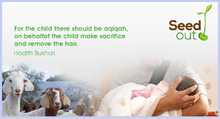 What is Aqiqah?