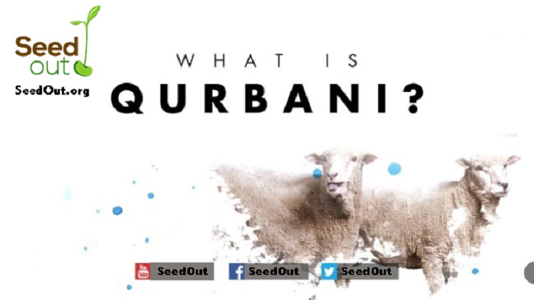 What is Qurbani