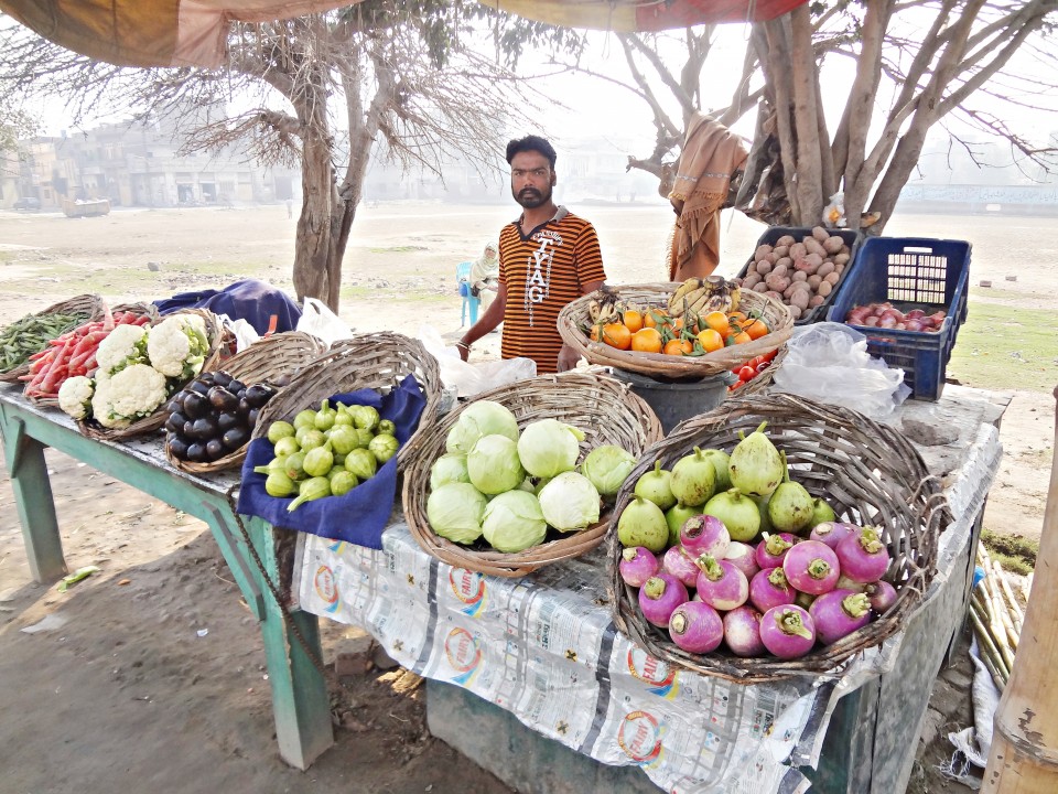 Vegetable Shop 