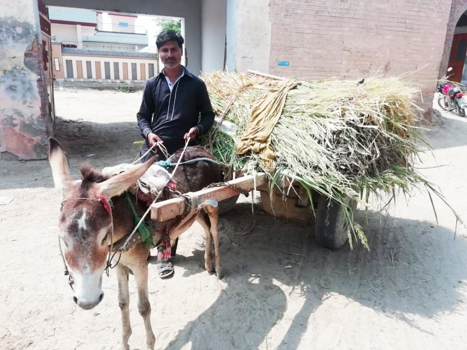 Loader Rickshaw
