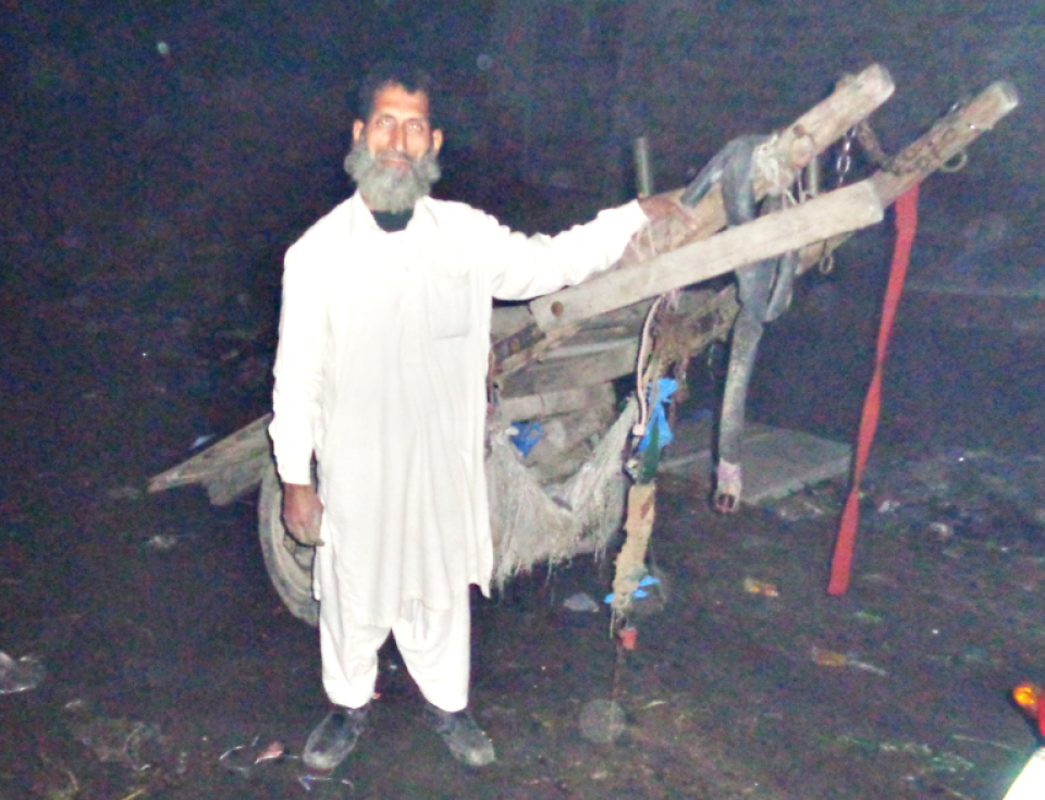 Fruit Cart Expansion 