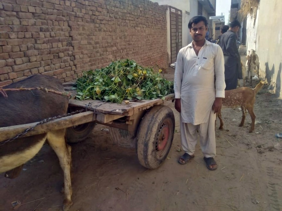 Loader Rickshaw