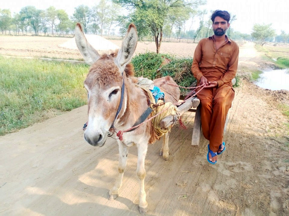 Loader Rickshaw