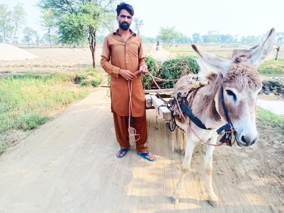 Loader Rickshaw