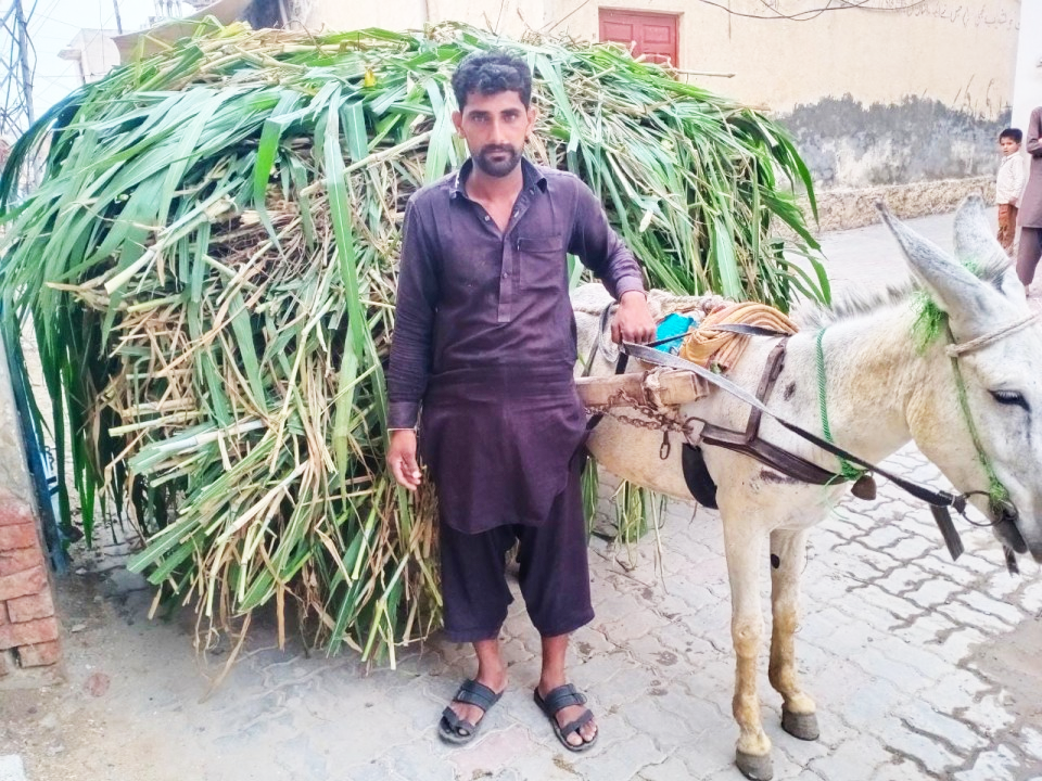 Loader Rickshaw