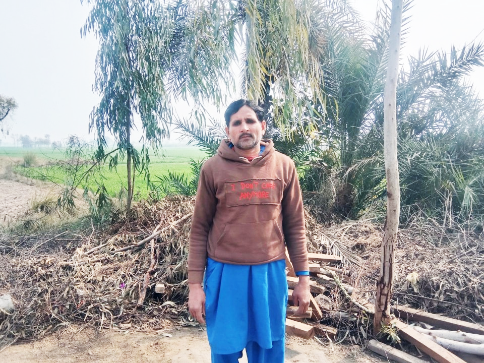 Fruits  vegetable and Chicken Cart
