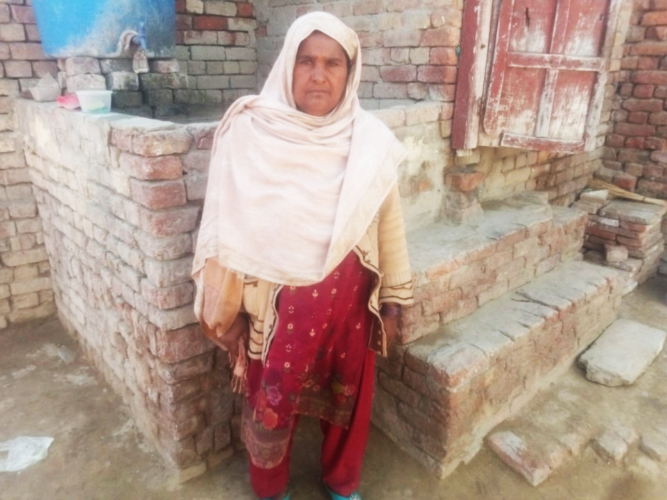Fruits and vegetable cart