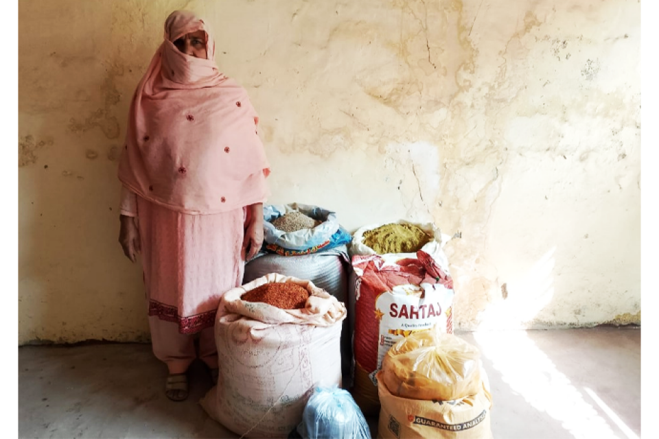 Sardar Bibi - Business established