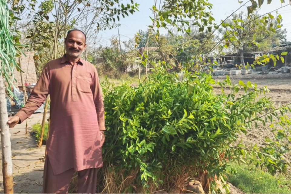 Muhammad Yasin - Business established