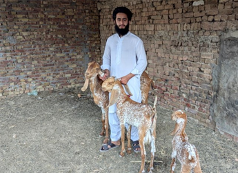 Umer Farooq