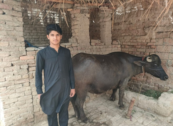 Borrower