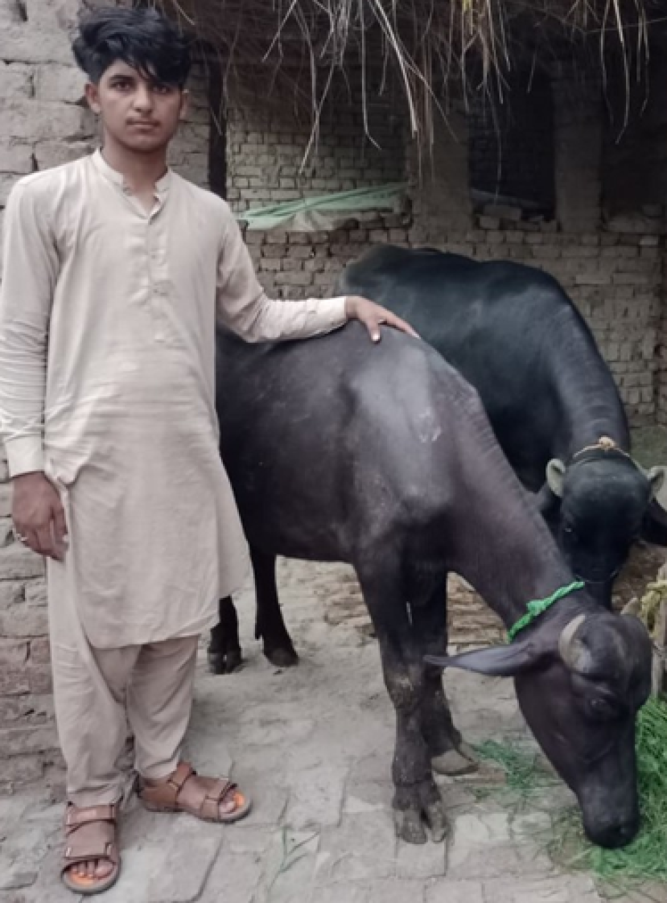 Imran Ahmad  - borrower shield box