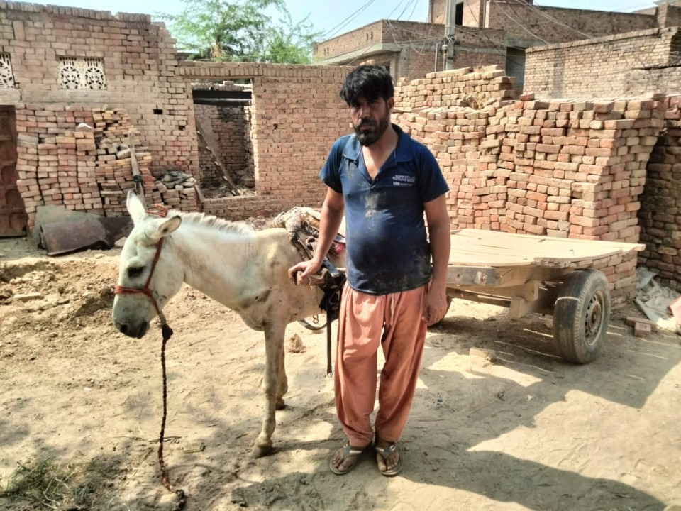 Donkey Cart