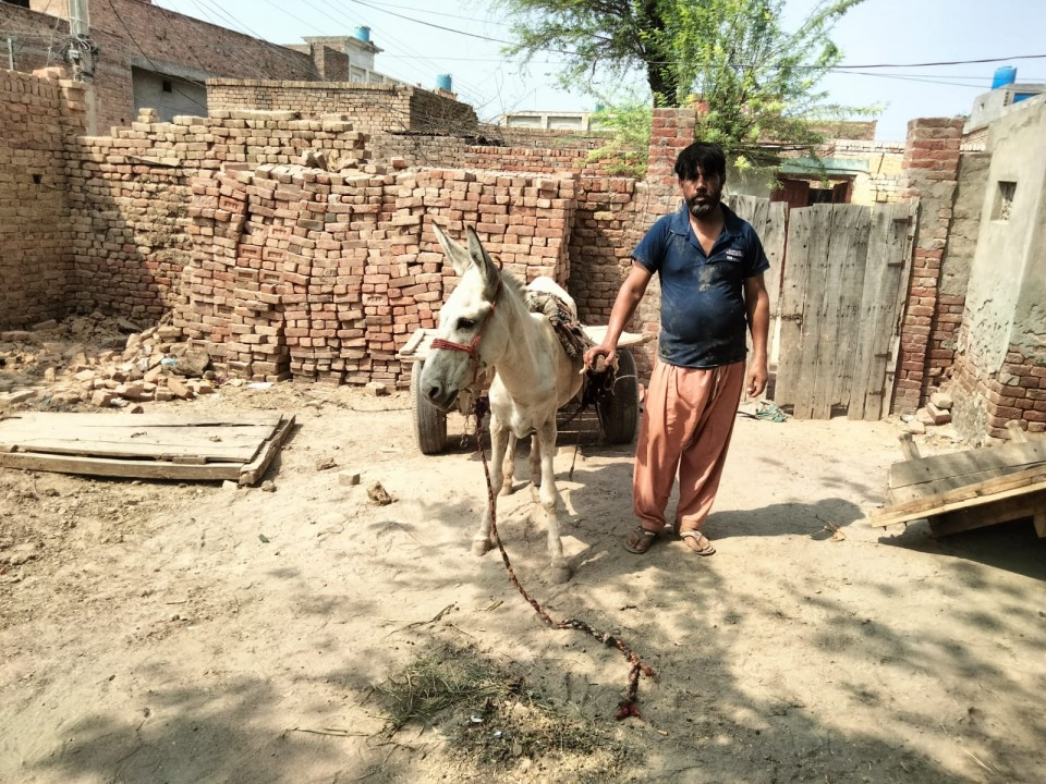 Donkey Cart