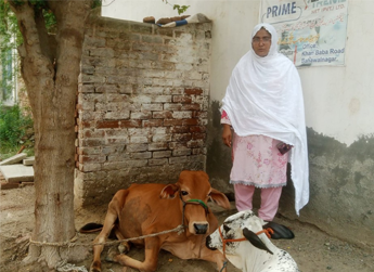 Nadia Aslam 