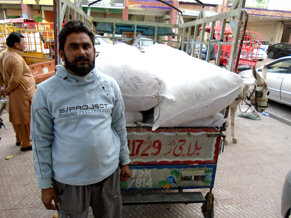 Ferhat Abid - Business established