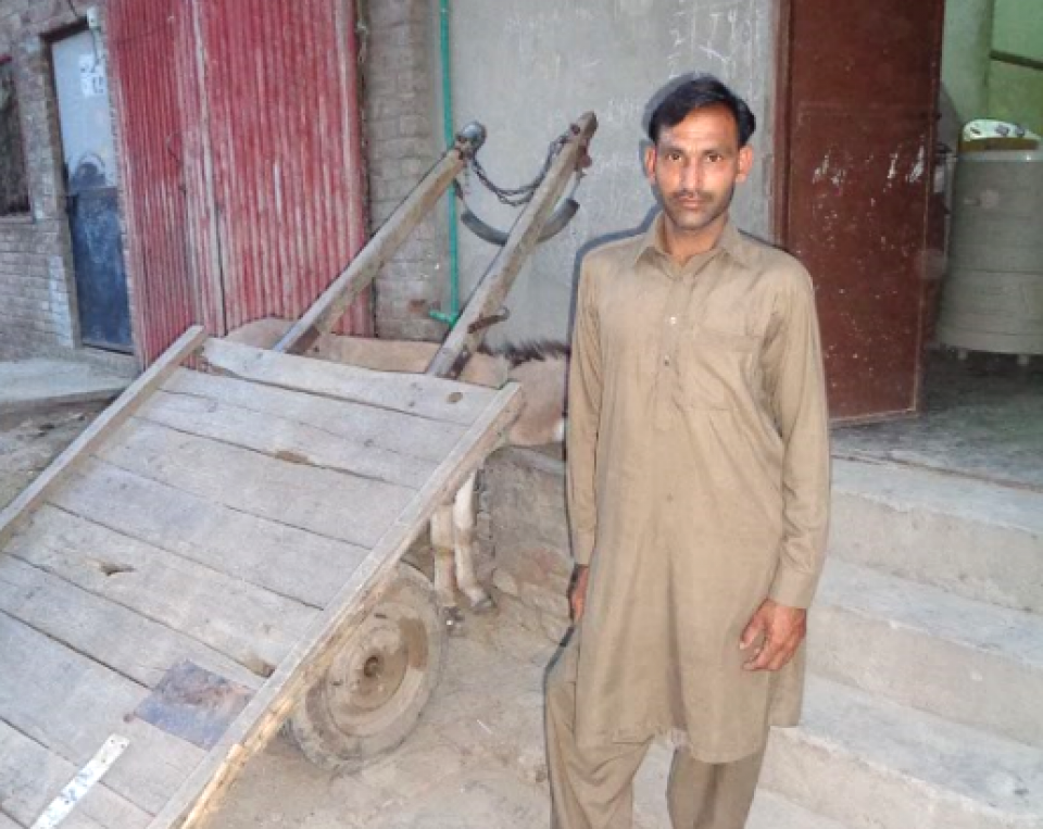 Farzand Ali - Business established