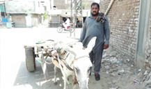 Abdul Rouf