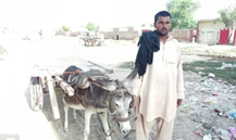 Muhammad Abbas