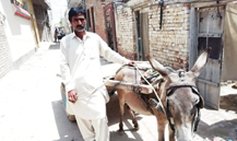 Abdul Ghaffaar