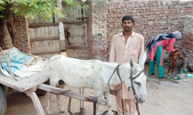 Loader Rickshaw