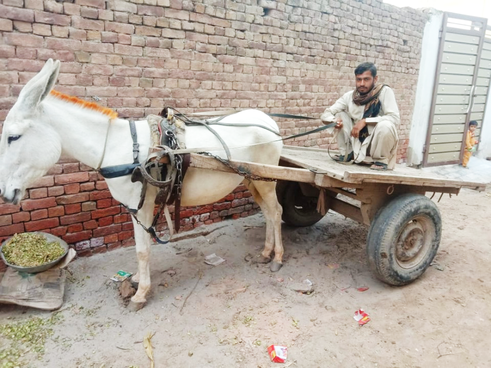 Loader  Rickshaw