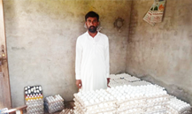 Muhammad iftkhar 