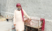 Ali Hussain