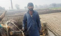 Muhammad imran
