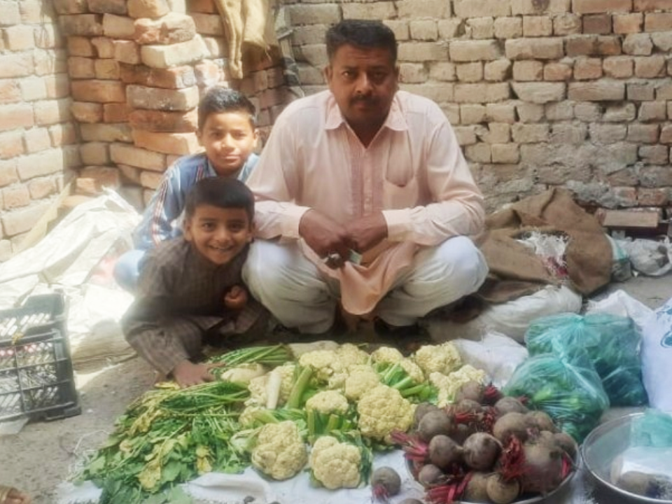 Vegetable Cart Business