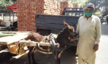 Loader Rickshaw