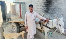 Loader Rickshaw