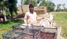 Ghulam Abbas