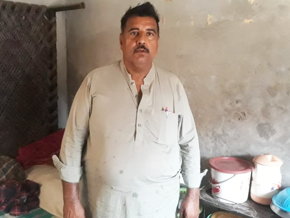 Chicken and Vegetables Shop