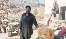 Muhammad Afzal