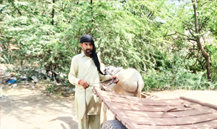 Muhammad Riaz