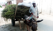 Loader Rickshaw