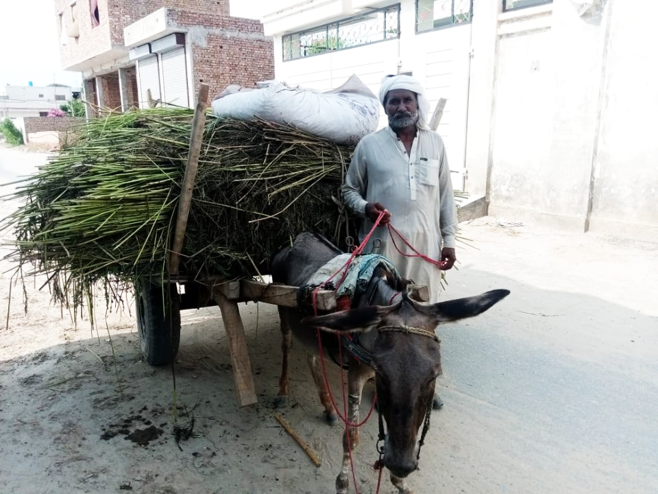 Loader Rickshaw