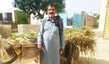 Loader Rickshaw