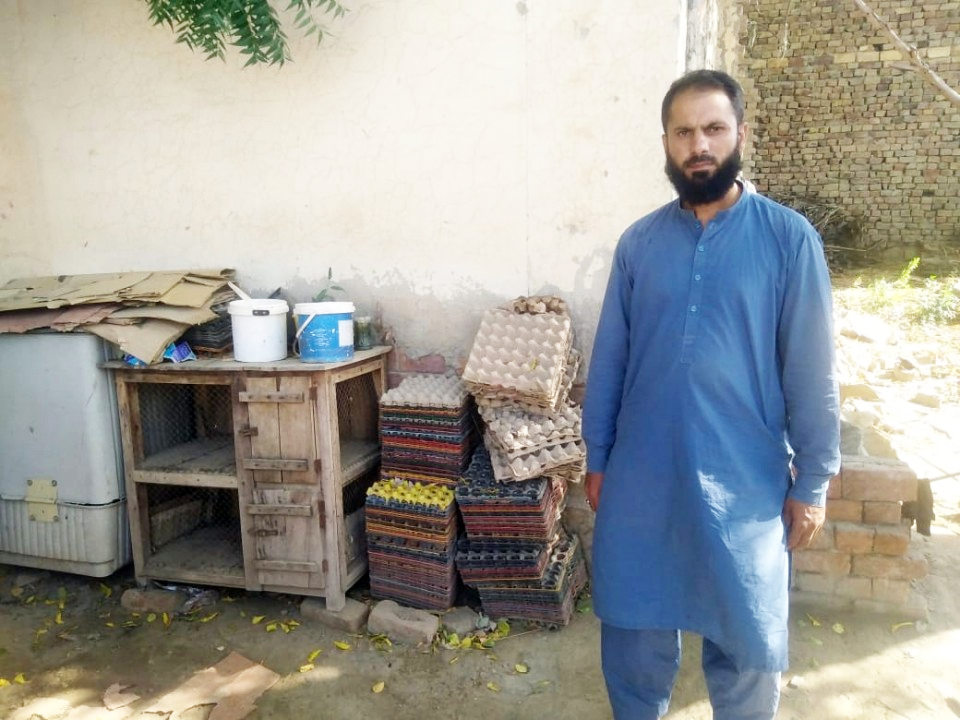 Eggs & Grocery Salesman