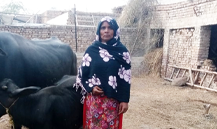 Shakeela Bibi