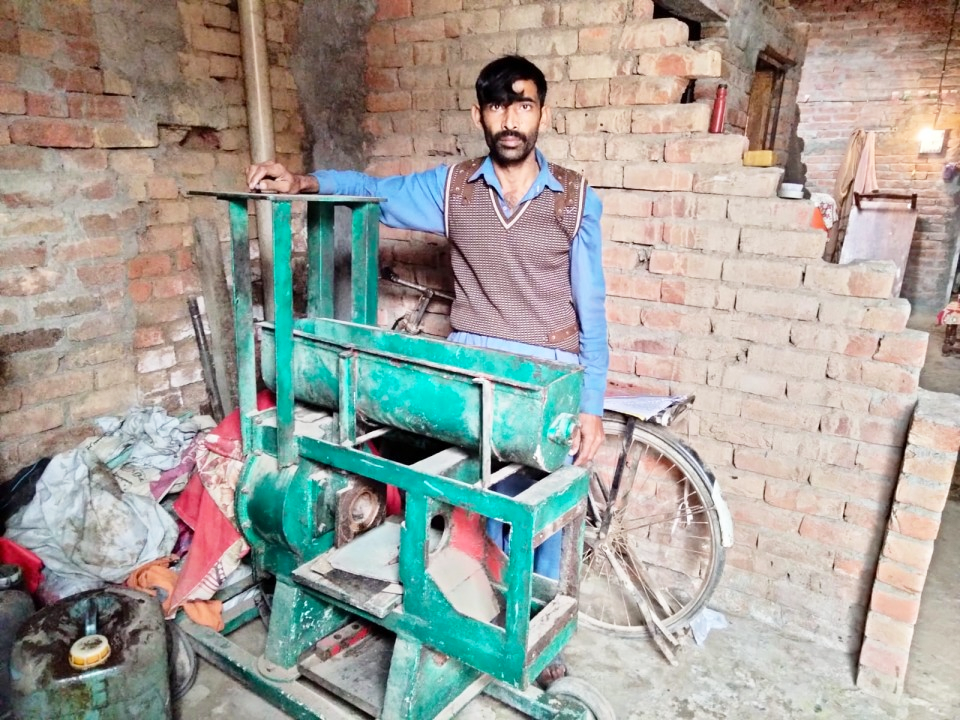 Mustard oil Grinding
