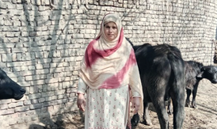 Shameem Bibi