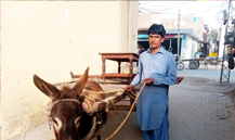 Loader Rickshaw